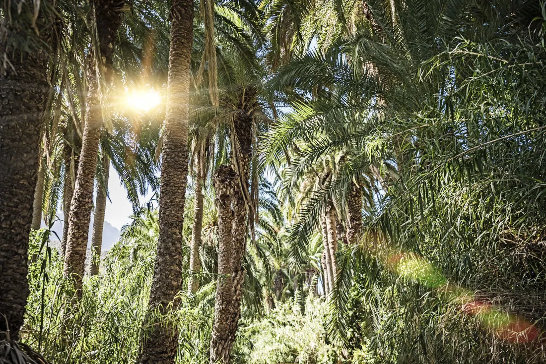 Marvelis Gran Canaria — photograph 6 by bernd kammerer